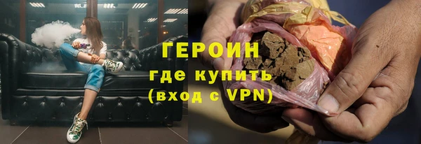гашик Алексин