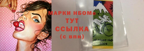 гашик Алексин