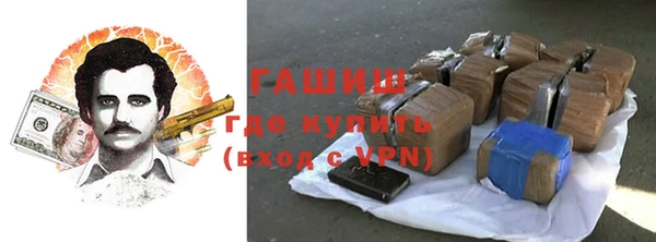 гашик Алексин