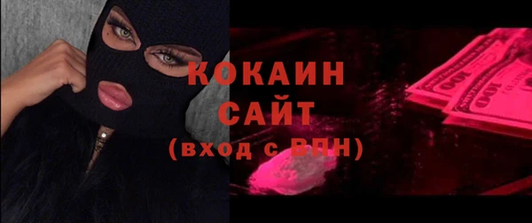 сатива Алзамай