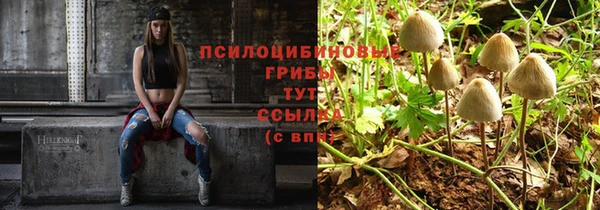 гашик Алексин
