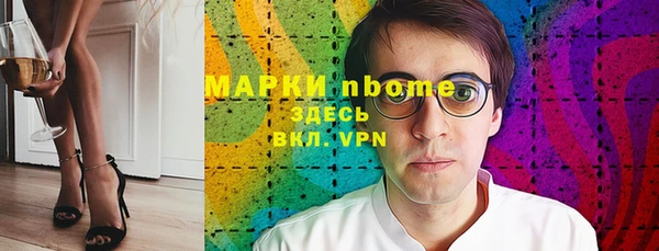 гашик Алексин