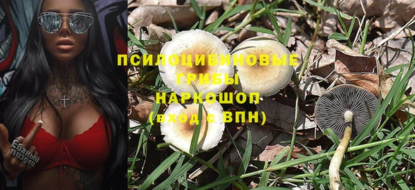 сатива Алзамай